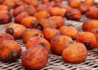 永嘉紅柿:溫州市永嘉縣特產紅柿,產地水果農產品紅柿子