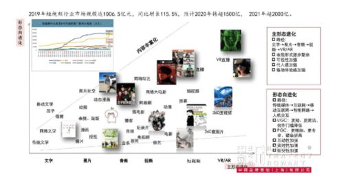 成熟品牌的營(yíng)銷(xiāo)突破 金光APP與中網(wǎng)品牌策劃的戰(zhàn)略咨詢(xún)解析