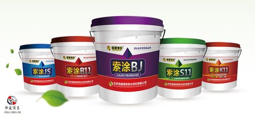 高分子防水涂料價(jià)格解析 從成本到選購的全面指南